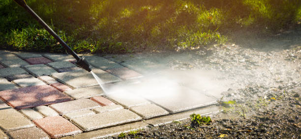 Solar Panel Cleaning in Waupun, WI